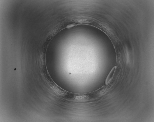 X0000073460461200608111514