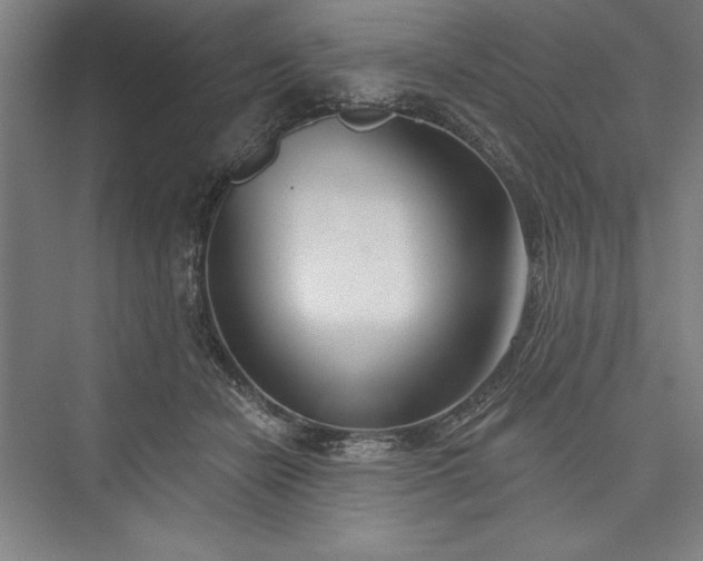 X0000073460462200608111514