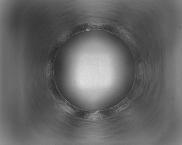 X0000073460463200608111514