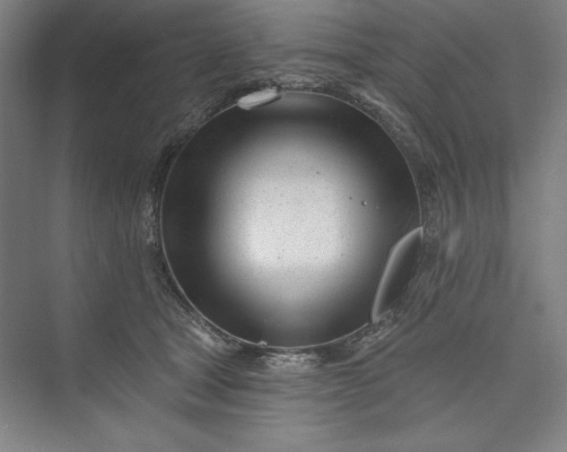 X0000073460465200608111514