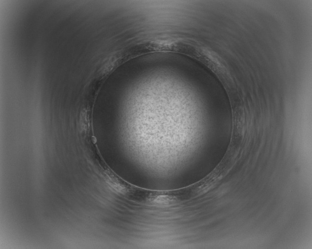 X0000073460467200608111514