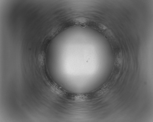 X0000073460468200608111514