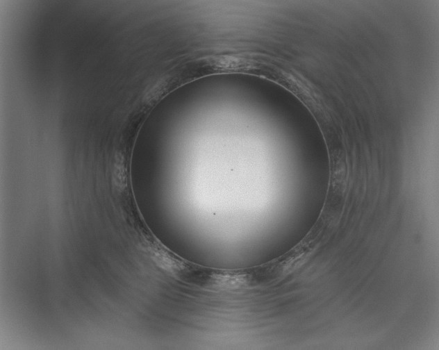 X0000073460469200608111515