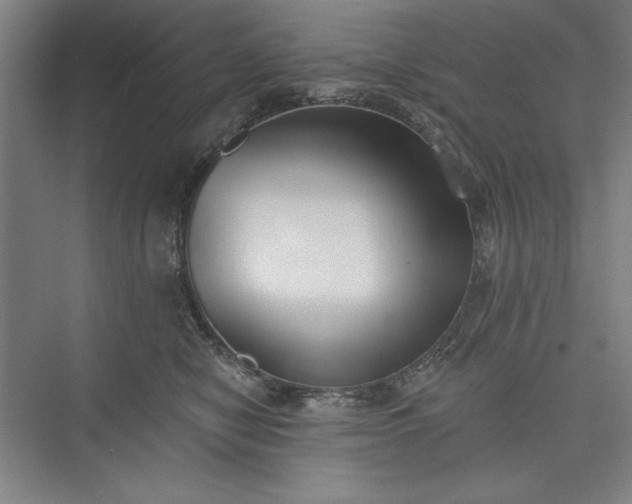 X0000073460470200608111515