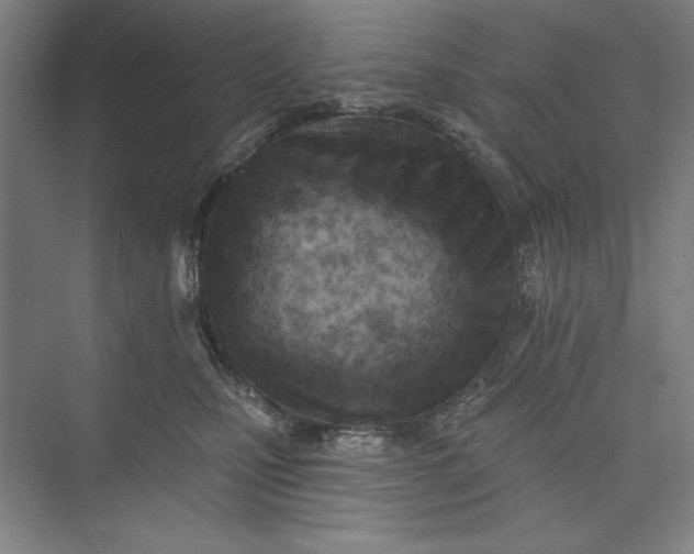 X0000073460471200608111515