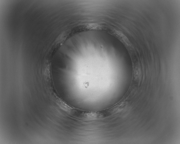 X0000073460473200608111515