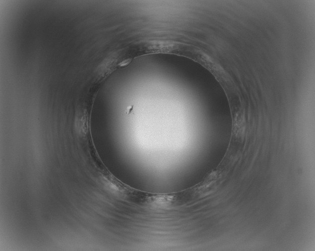 X0000073460474200608111515