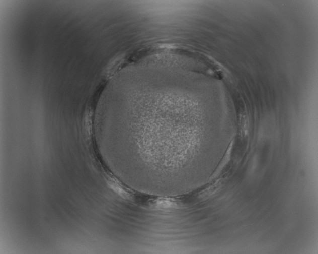 X0000073460475200608111515