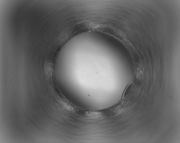 X0000073460476200608111515