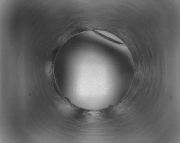 X0000073460478200608111515