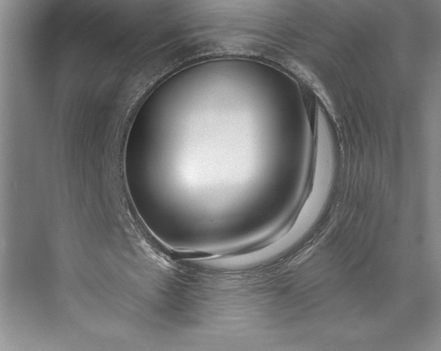 X0000073460481200608111514