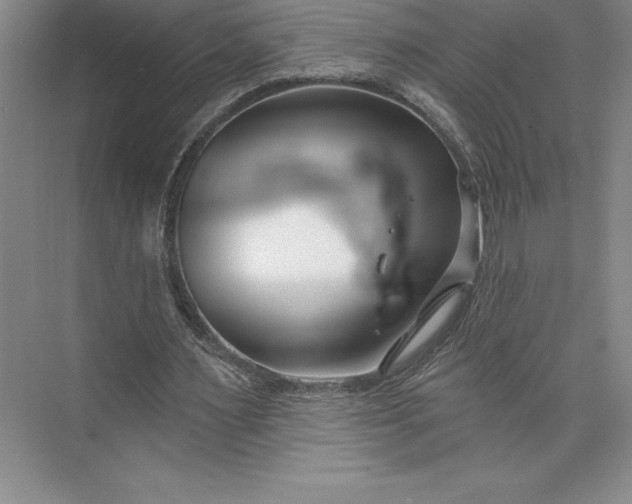 X0000073460483200608111514