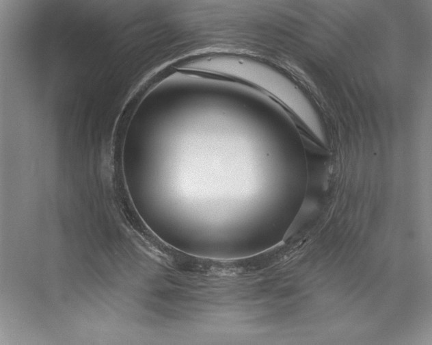 X0000073460484200608111514