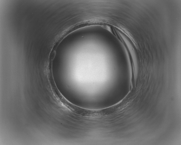 X0000073460485200608111514