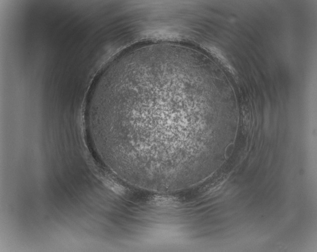 X0000073460487200608111514