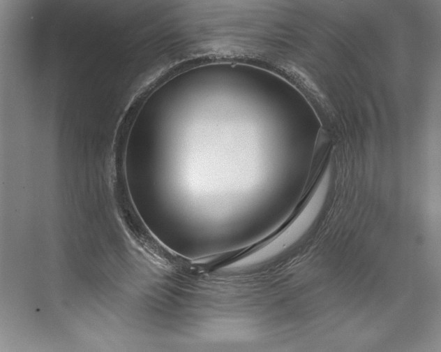 X0000073460488200608111514