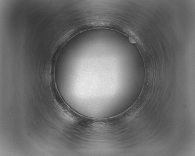 X0000073460490200608111514