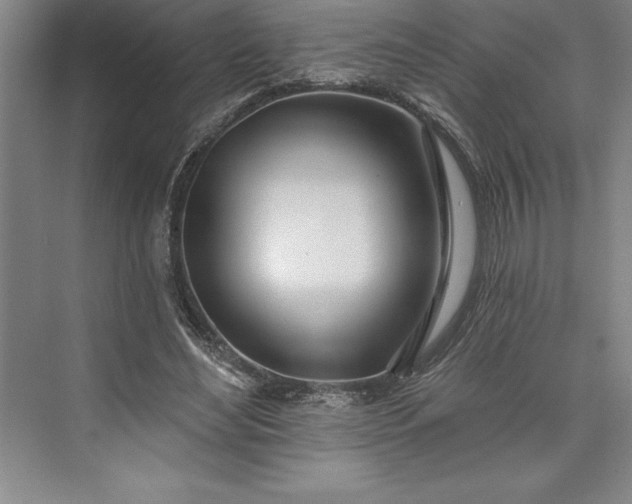 X0000073460492200608111514