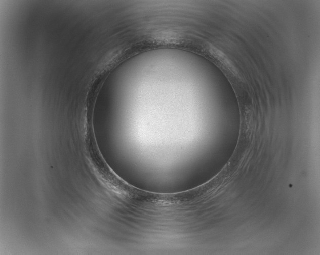 X0000073460494200608111514