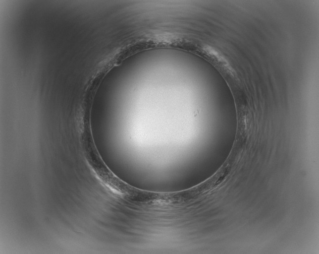 X0000073460496200608111514