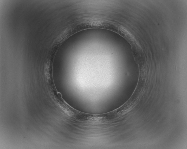 X0000073460497200608111514