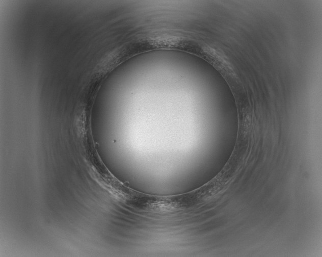 X0000073460498200608111514