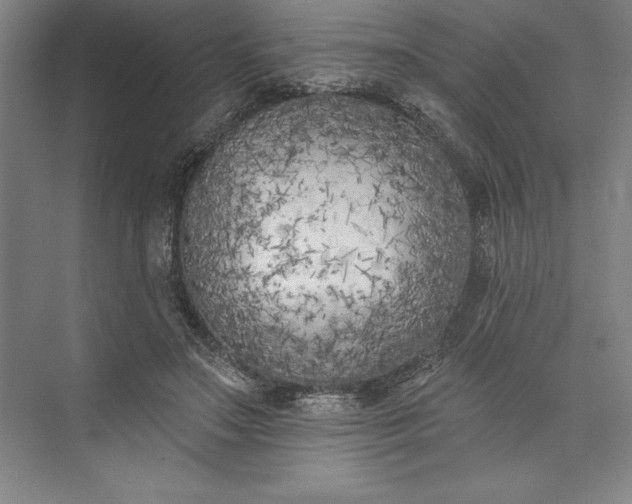 X0000073460499200608111514