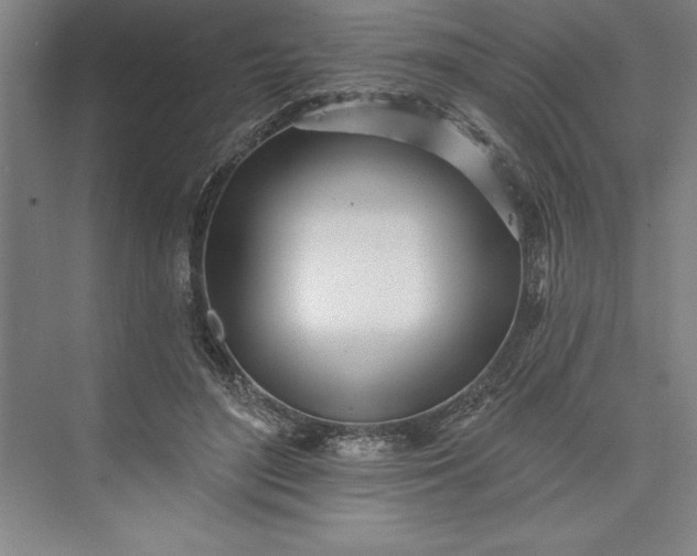 X0000073460500200608111514