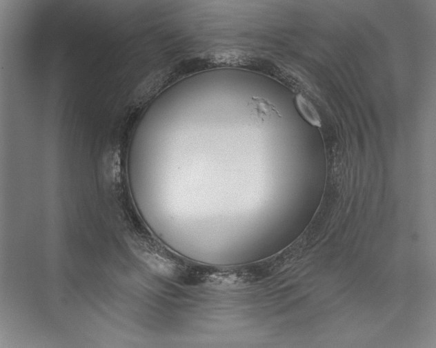 X0000073460502200608111514