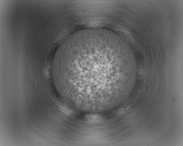 X0000073460503200608111514