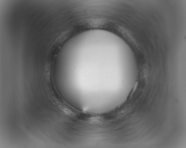 X0000073460505200608111513