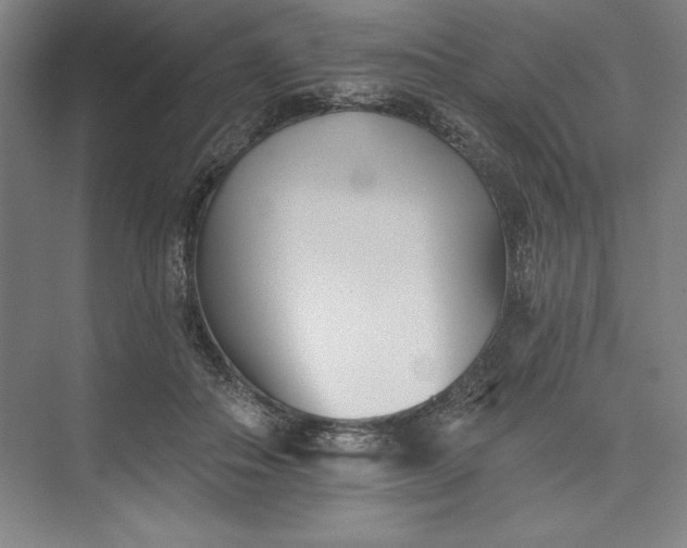 X0000073460506200608111513