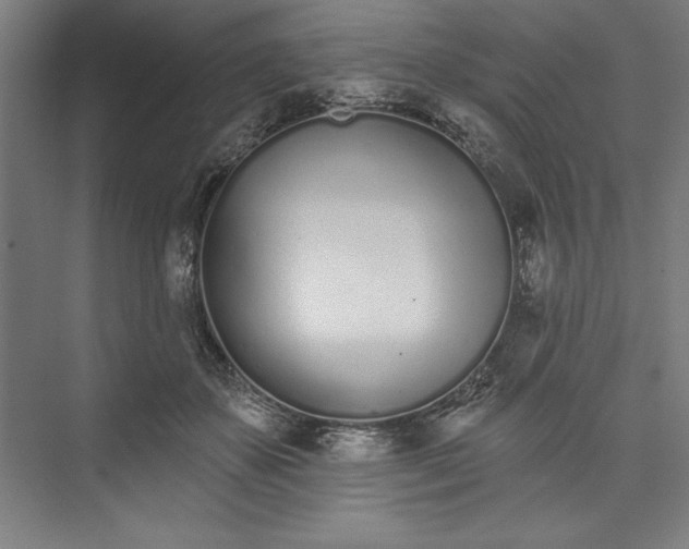 X0000073460507200608111513