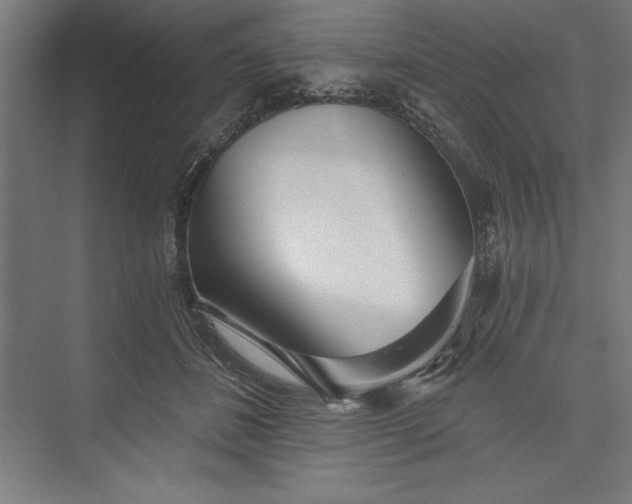 X0000073460508200608111513