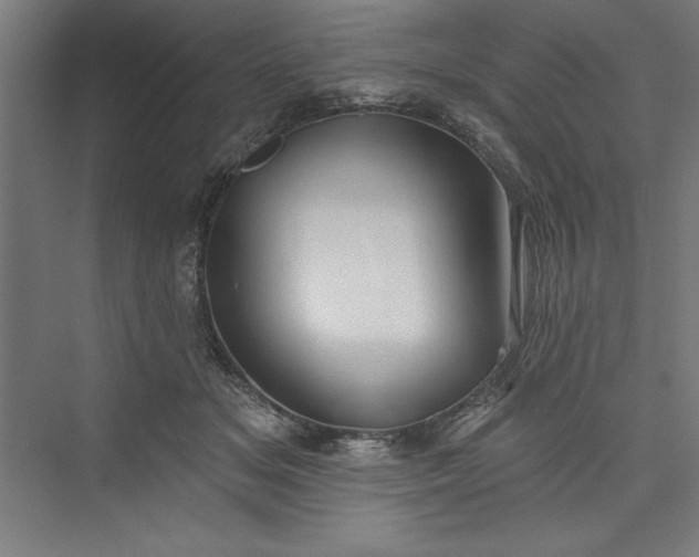 X0000073460509200608111513