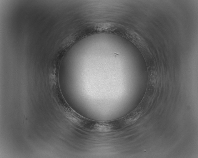 X0000073460510200608111513