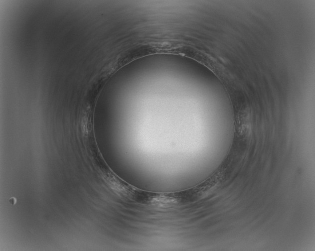 X0000073460515200608111513