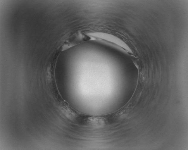 X0000073460520200608111513