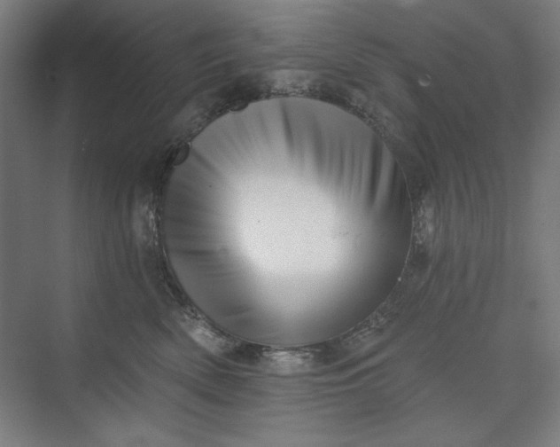 X0000073460522200608111513