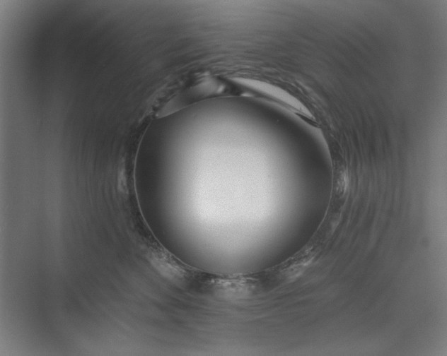 X0000073460524200608111513