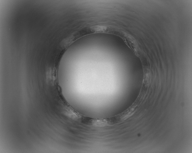 X0000073460525200608111513