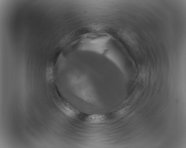 X0000073460526200608111513