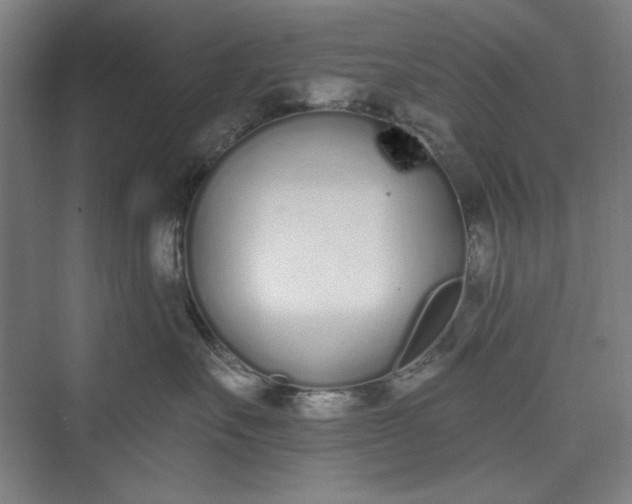 X0000073460527200608111513