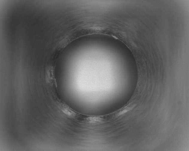 X0000073460528200608111513