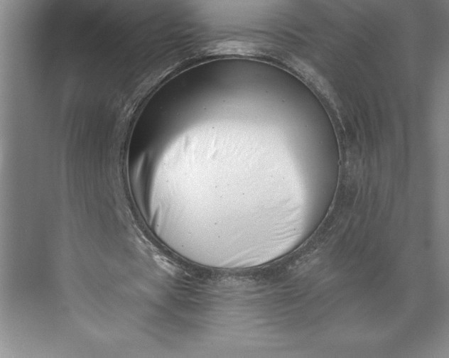 X0000073460529200608111512