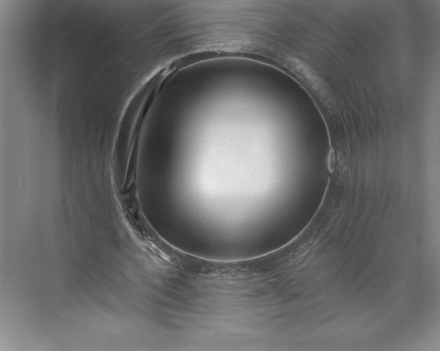 X0000073460532200608111512