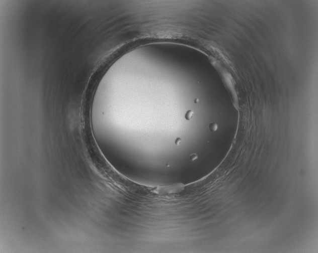 X0000073460536200608111512