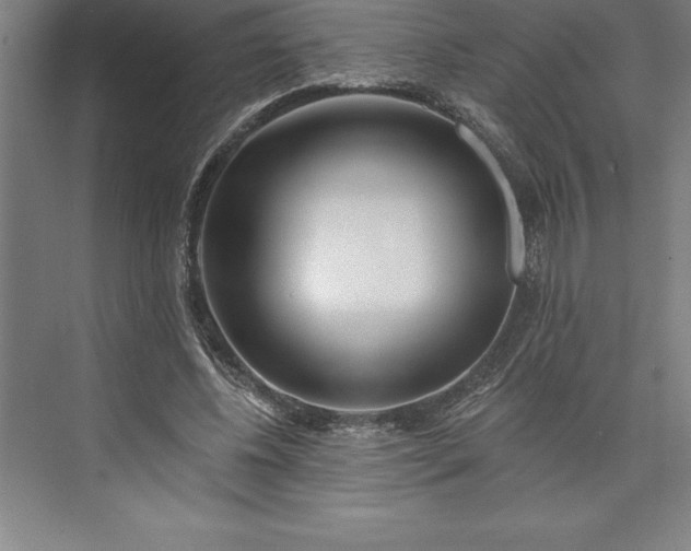 X0000073460540200608111512