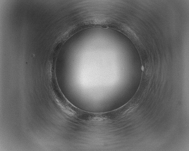 X0000073460542200608111513