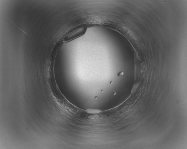 X0000073460544200608111513